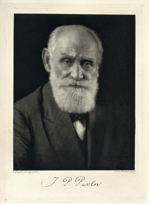 Europeana.eu-9200579-ednkcpr4-8eee62bb8a8f19abaa6f5b433ccd79f1.jpeg